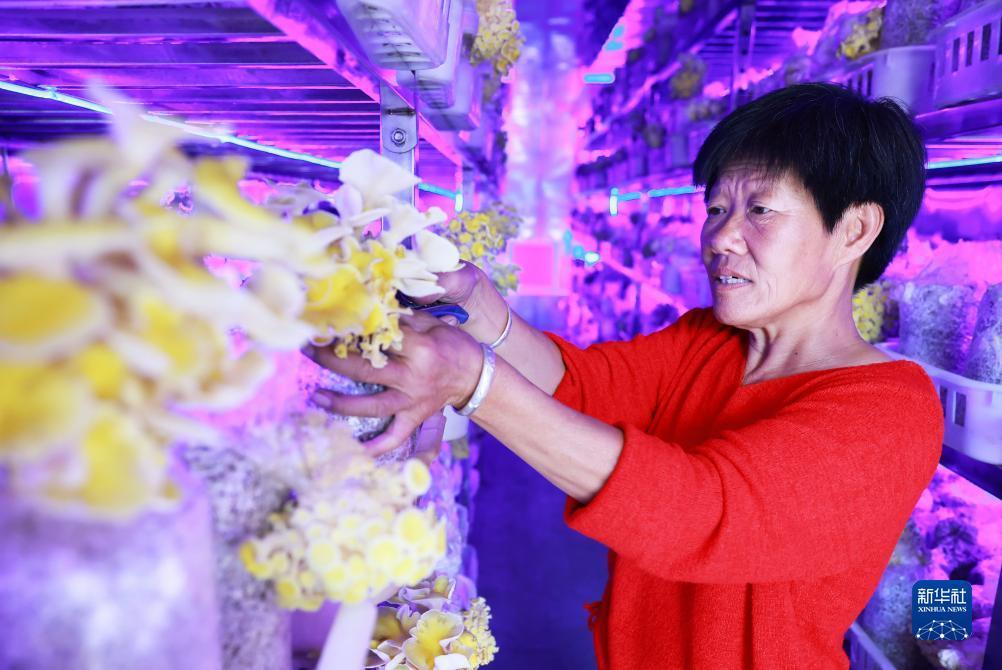 其乐老虎机qile166下载